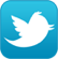 Surveyor_on_twitter